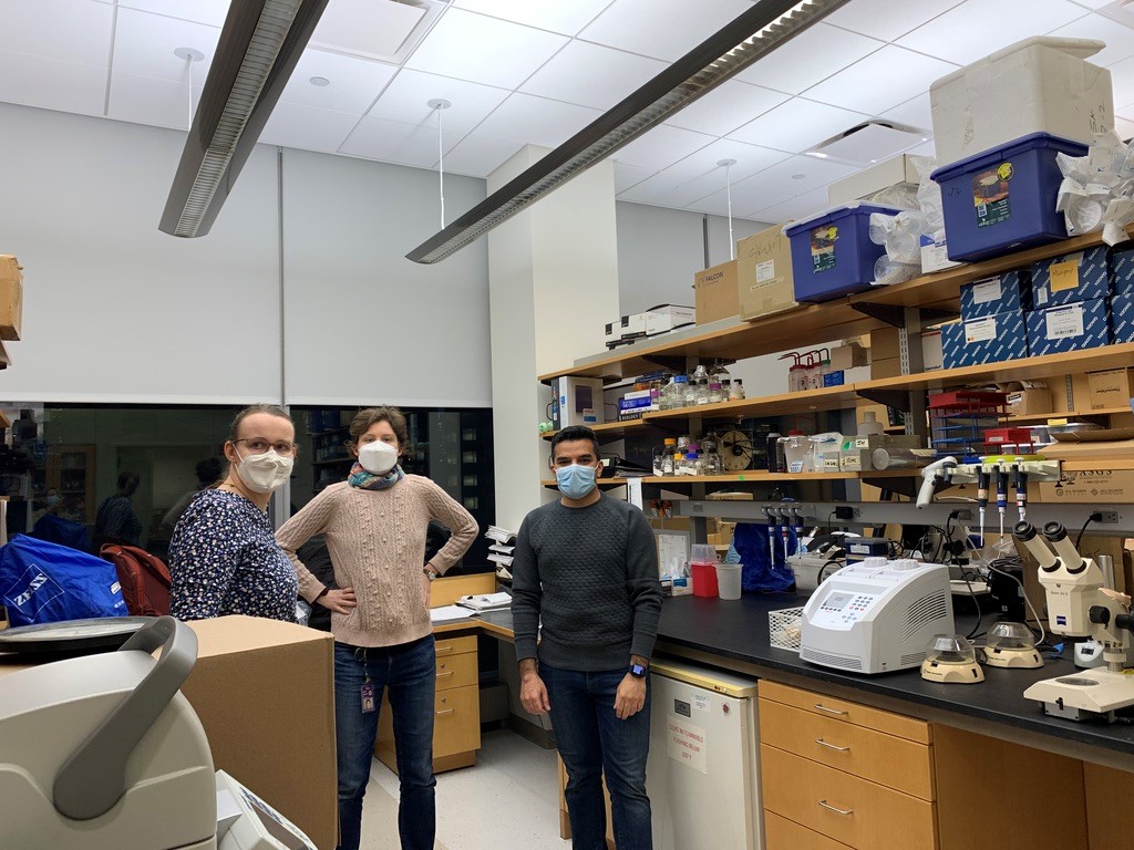 Jane Hubbard Lab Members NYU Langone Health