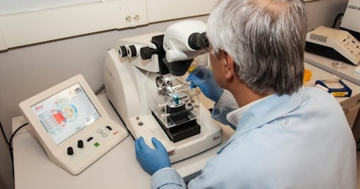 Medical Lab Assistant vs. Phlebotomist What’s the Difference?