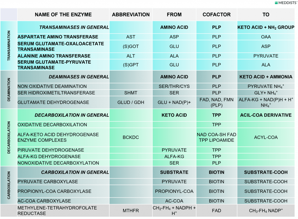 Enzymes & Diseases Meddists