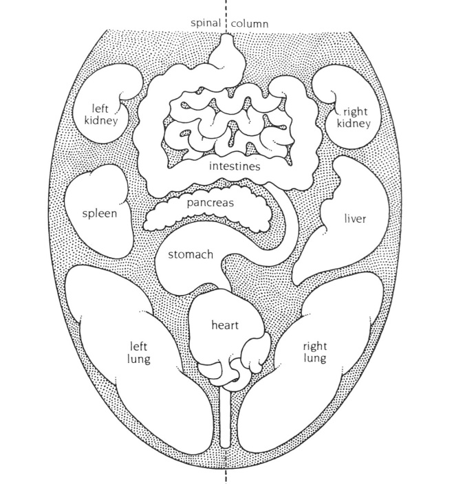 Lecture de la langue selon l�Ayurveda Institut d