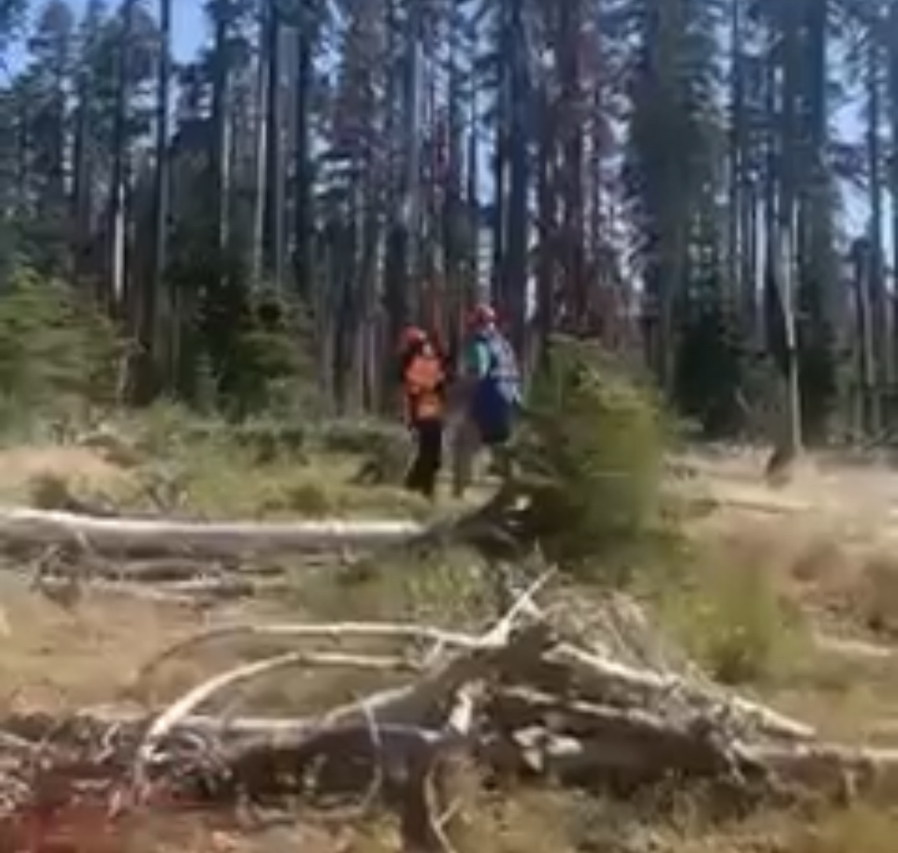 JCSO Recovers Missing Mans Body Medford Alert