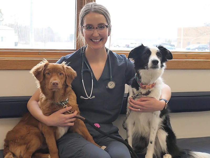 HOME & Medford Veterinary Clinic