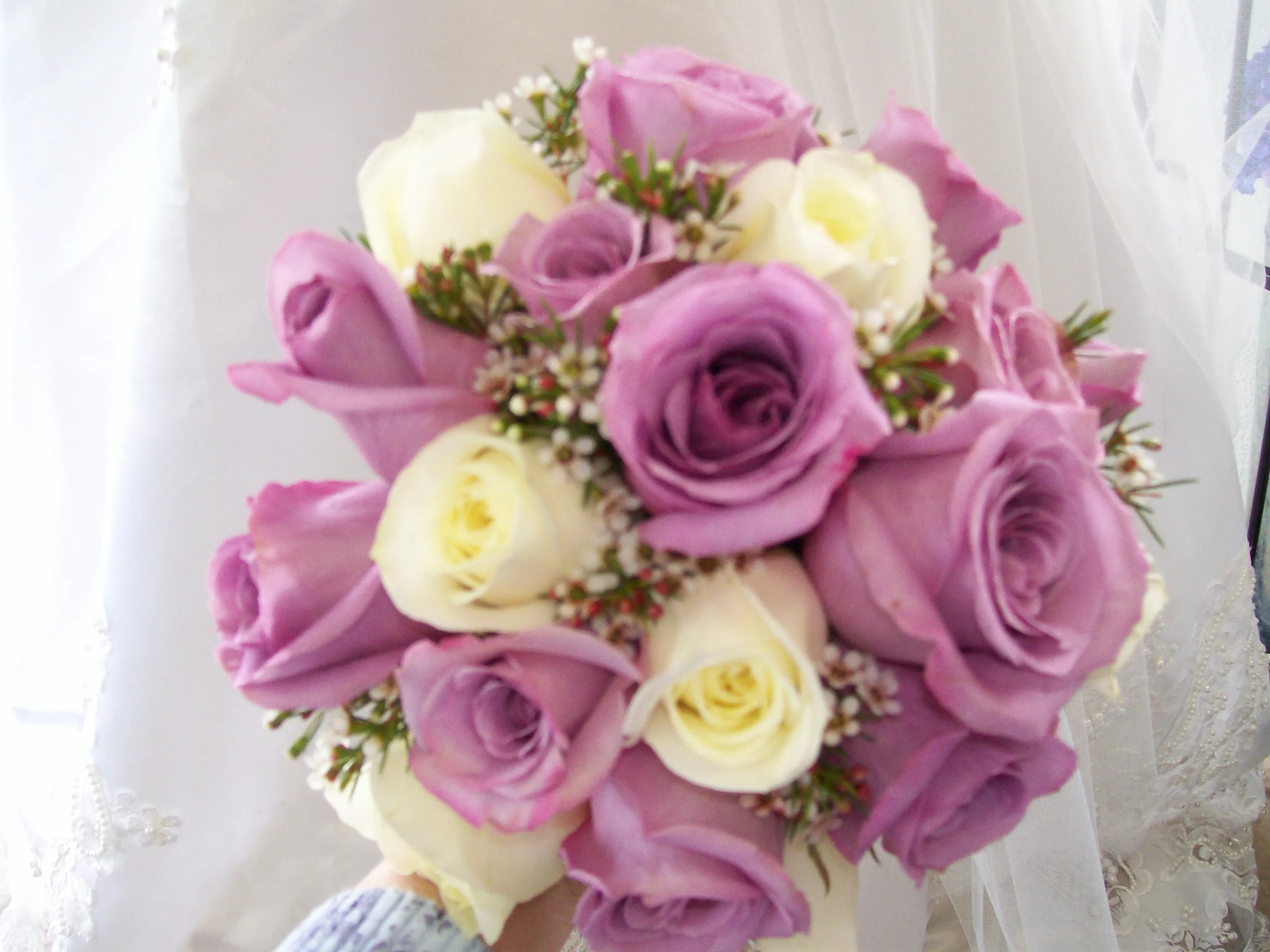 Ambrosia Floral Boutique Florists The Knot