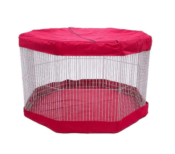 Bringing Your Small Pets Outdoors 6 Tips to Follow BeChewy