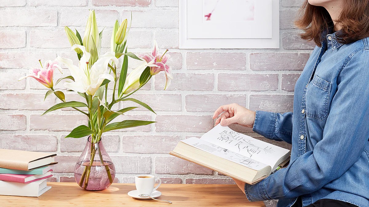 Are Stargazer Lilies Poisonous To Cats And Dogs