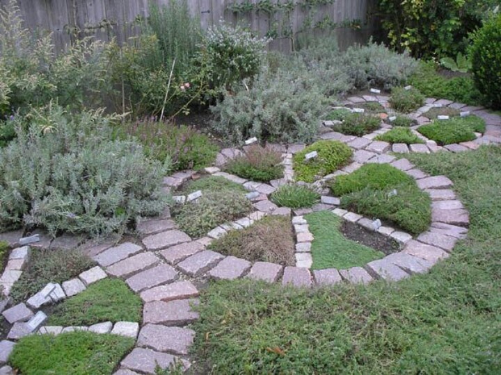 Medicinal Herb Garden Design Photograph herb garden co