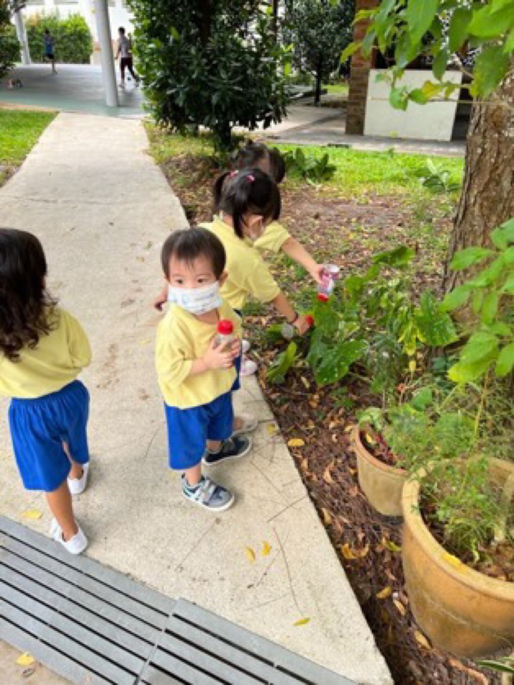 Appleland Montessori Garden. Start Small Dream Big