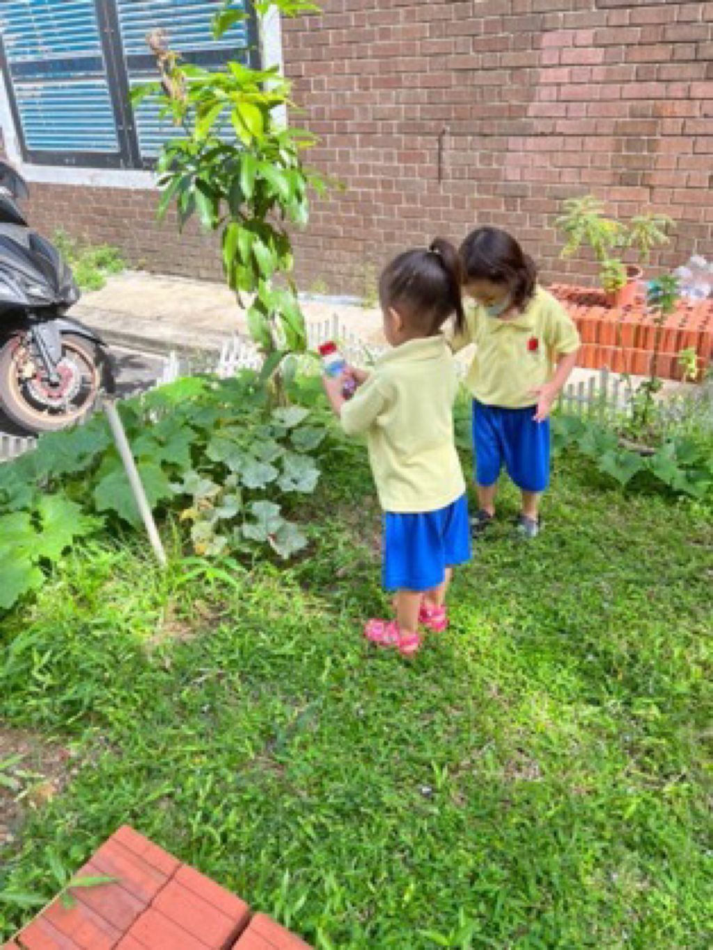 Appleland Montessori Garden. Start Small Dream Big