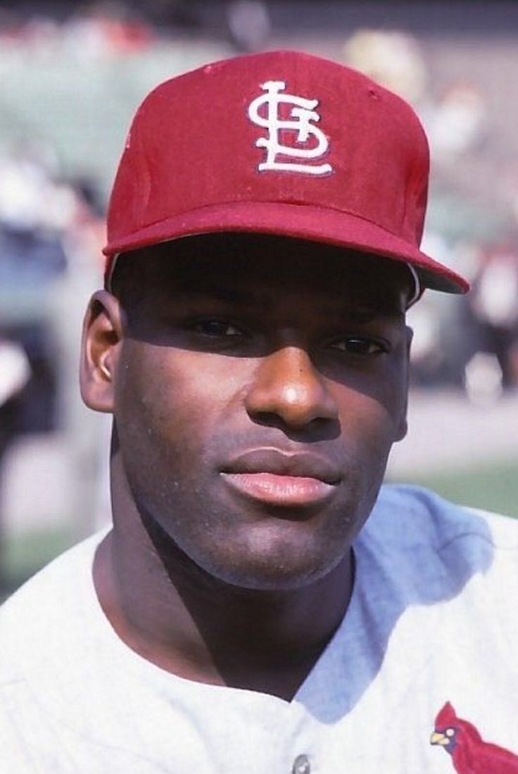 Bob Gibson Net Worth, Biography, Age, Weight, Height Net Worth Roll