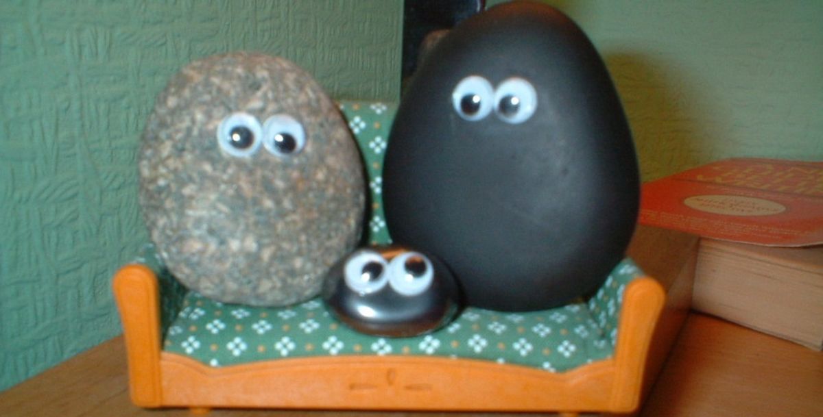 Best Pet Rocks for Kids of All Ages A Listly List