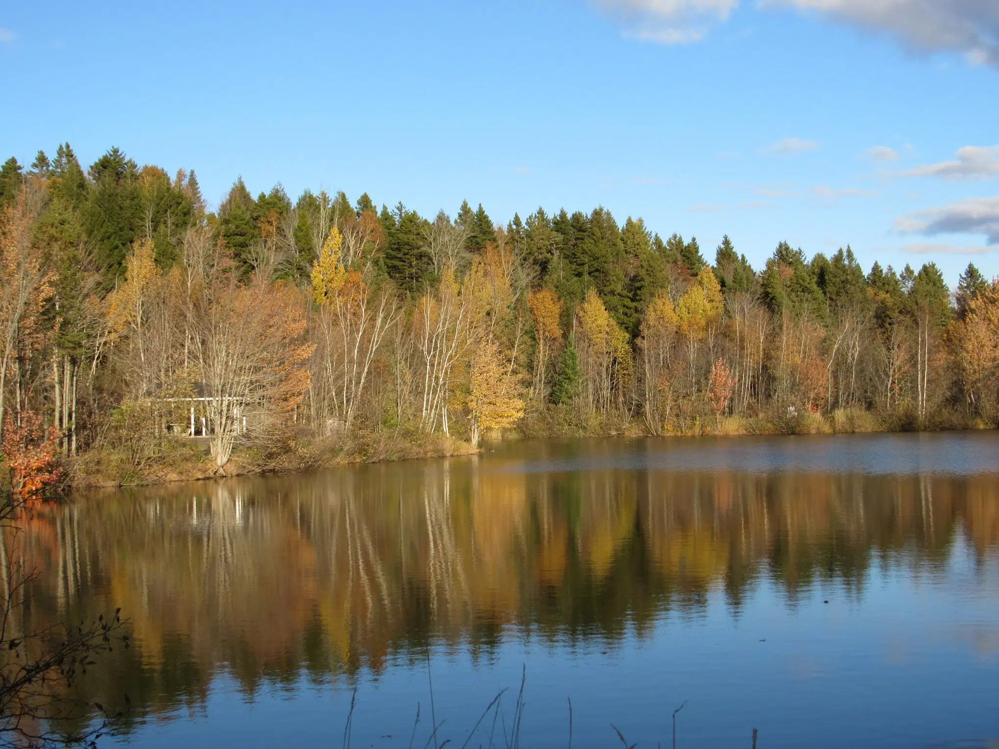 Investments Announced For Moncton Green And Infrastructure Projects