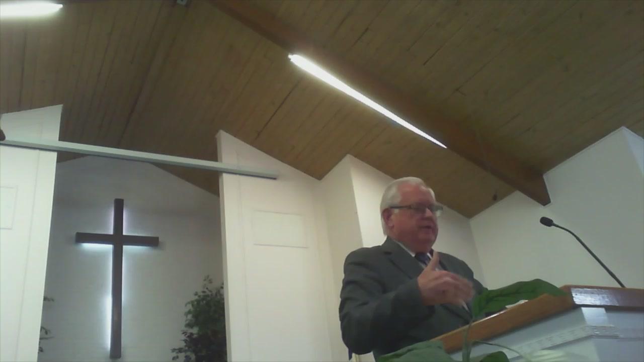 Lion, a Bear, and a Snake Addyston Baptist Church