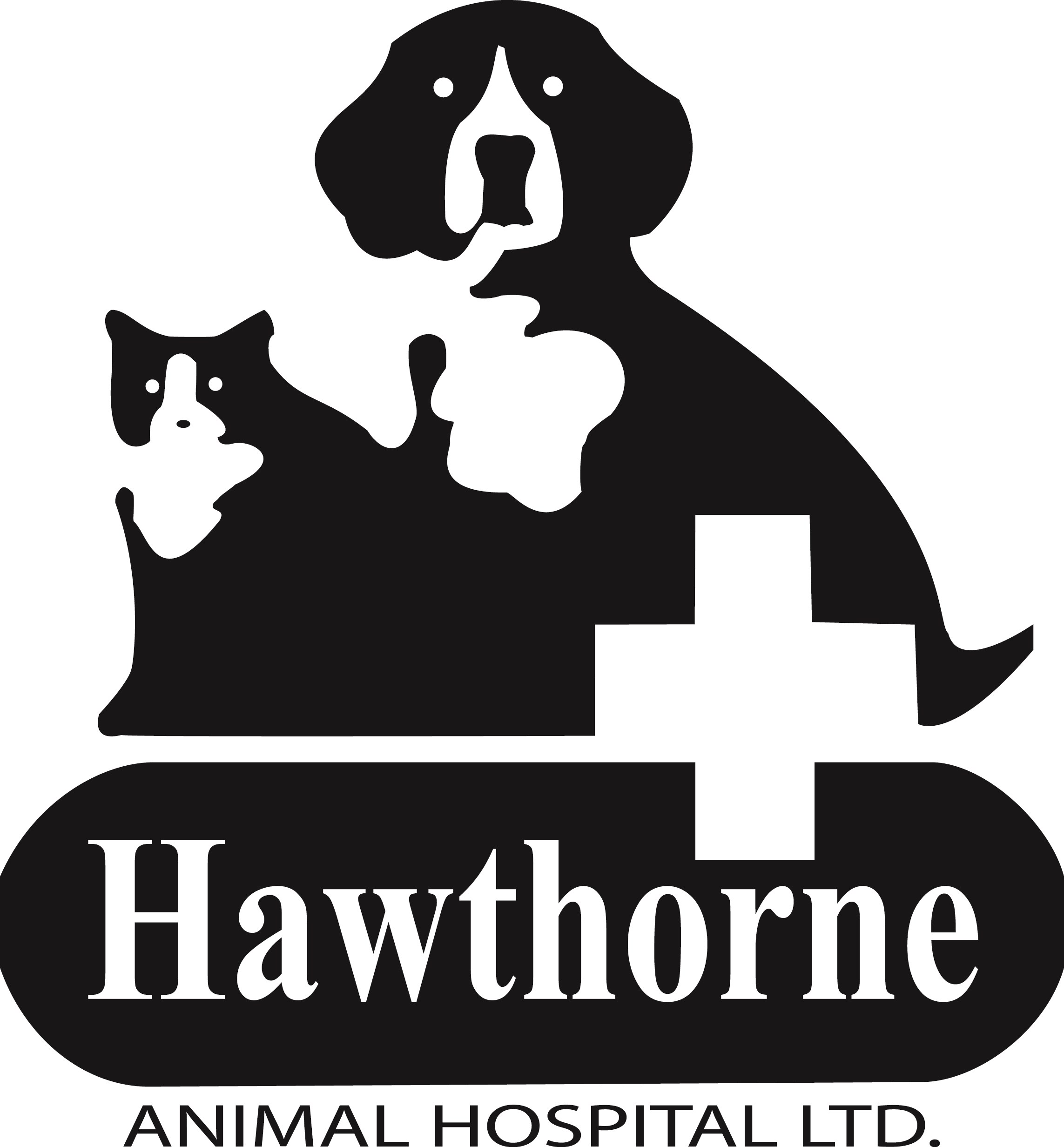 Top 4 Best Dog Groomers in Greenville IL Angi