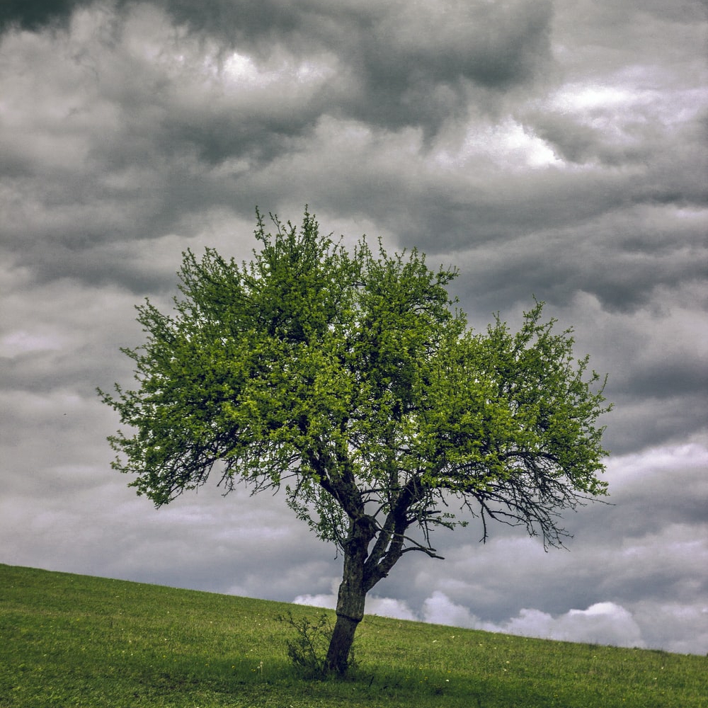 Blue Spruce Property Management Reviews Waterville, ME Angi