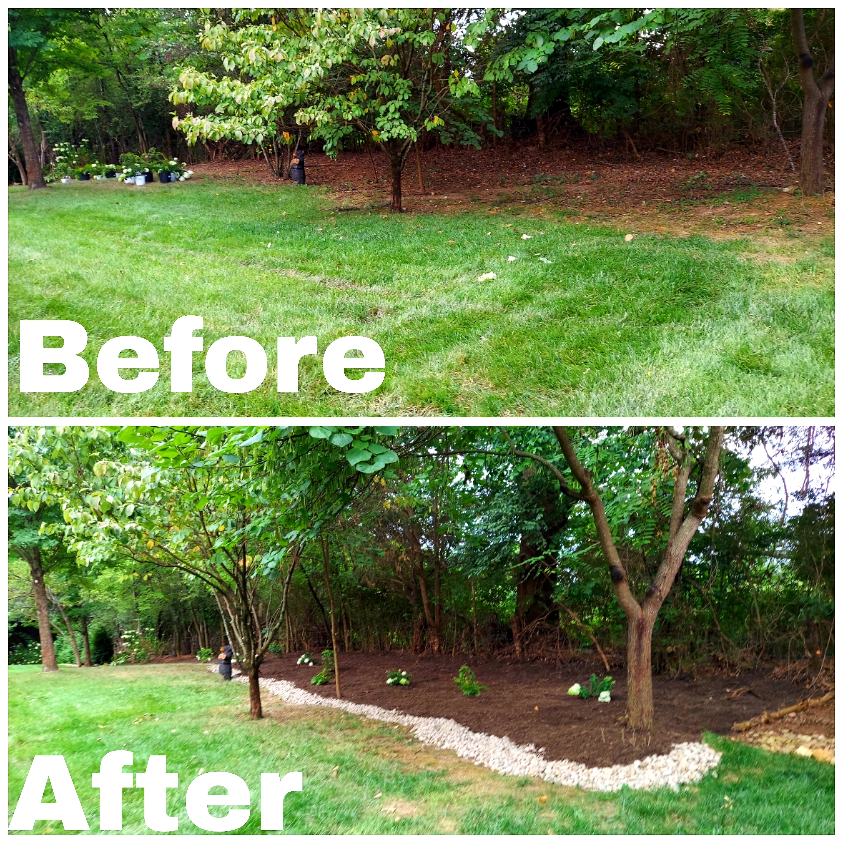 Green Leaves Lawnscapes Reviews Knoxville, TN Angi