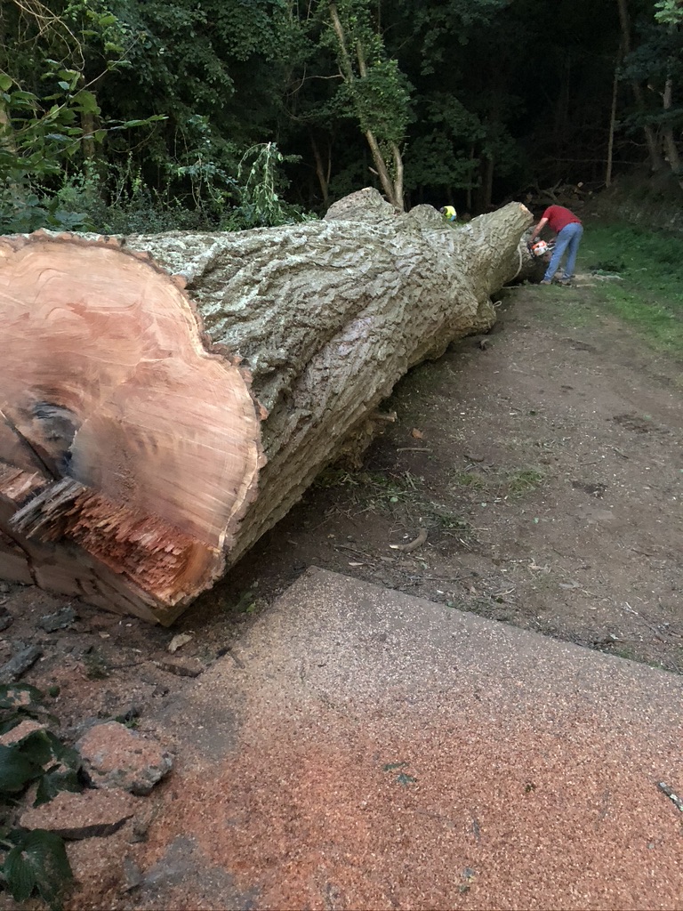 J D Landscaping Reviews West Mifflin, PA Angi