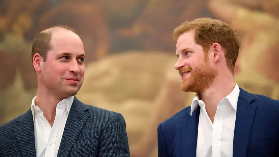 The Unbreakable Bond Of Princes William And Harry