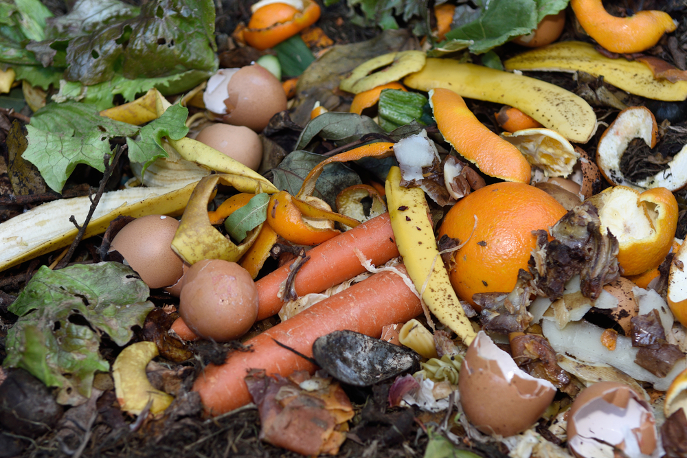 From Compost to Composites An EcoFriendly Way to Improve Rubber