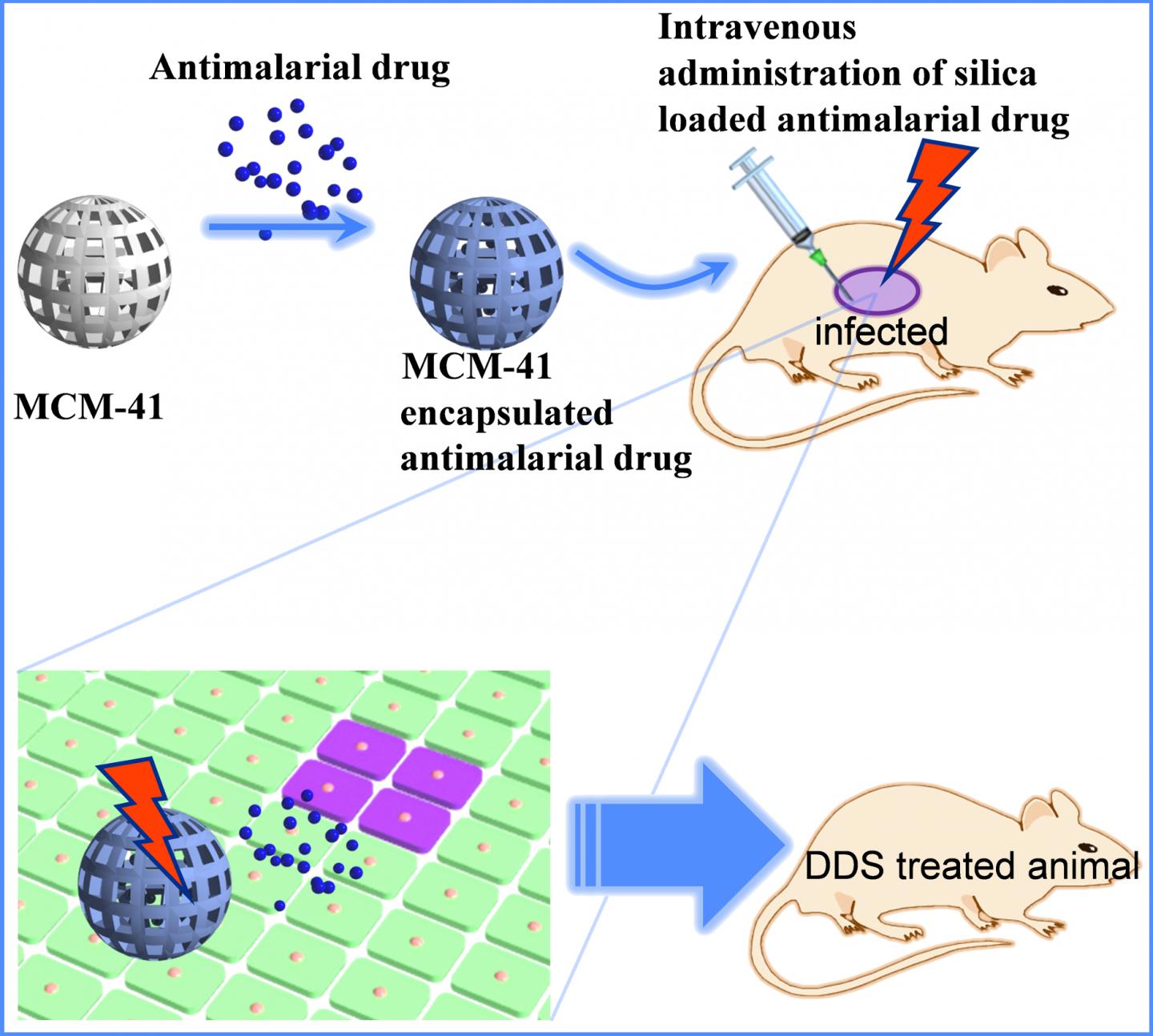 Breakthrough Antimalarial Drug Delivery System Using Mesoporous Silica