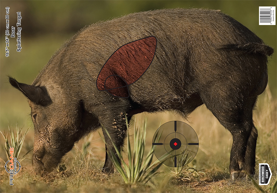 ScoutLook's 2018 Hog Hunting Gear Guide HuntStand