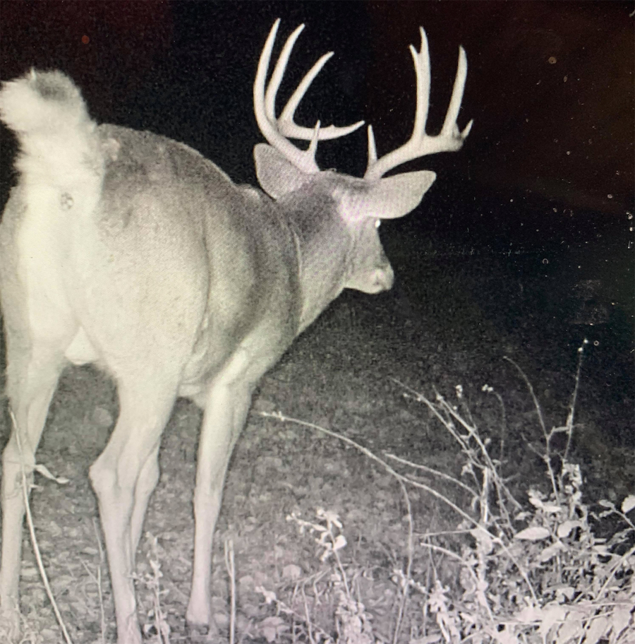 Rutty Wisconsin Buck Undone With Help From HuntStand HuntStand