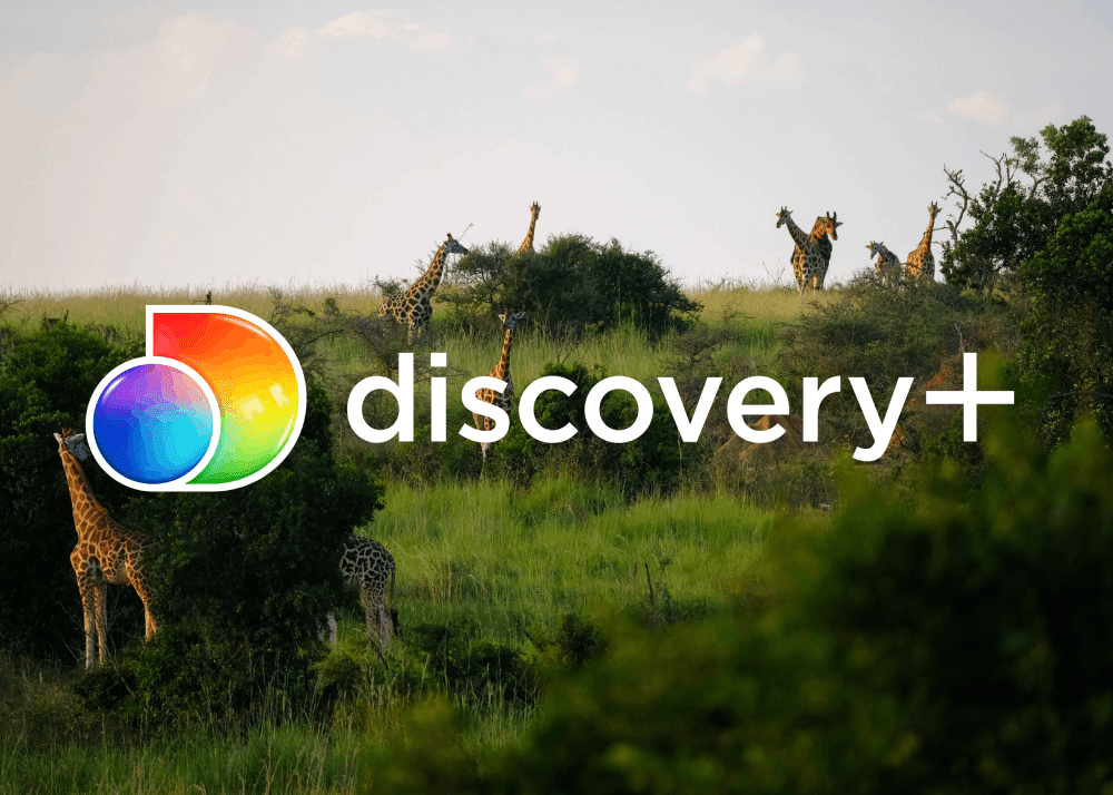What is Discovery+? MyBundle.TV