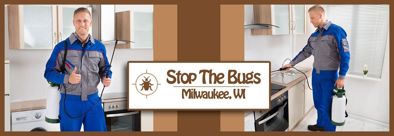 Bed Bug Exterminators Bed Bug Exterminators Milwaukee Wi