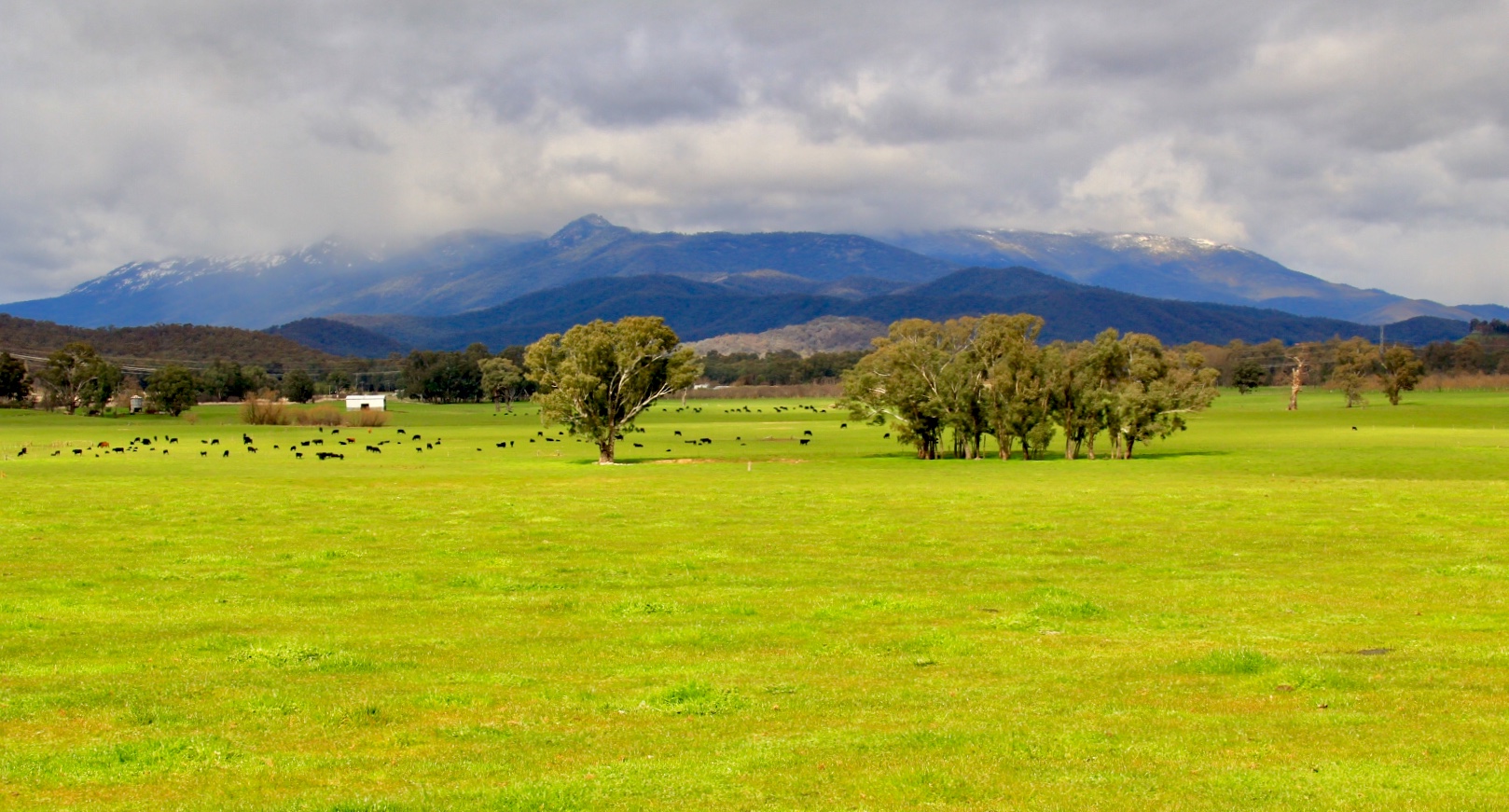 Beautiful NorthEast Victoria by Evelyn · 365 Project