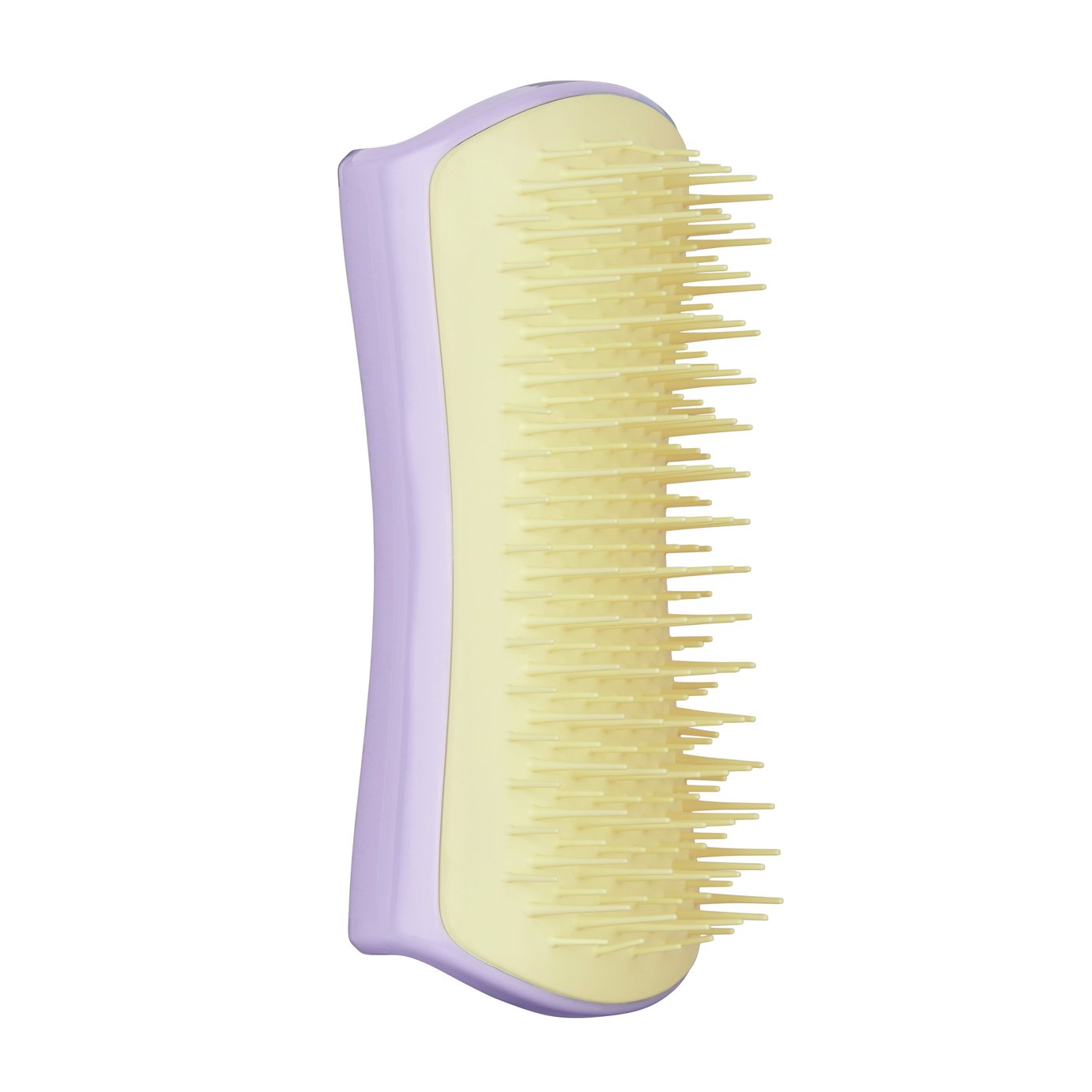 Pet Teezer Detangling Brush Reviews Updated April 2023