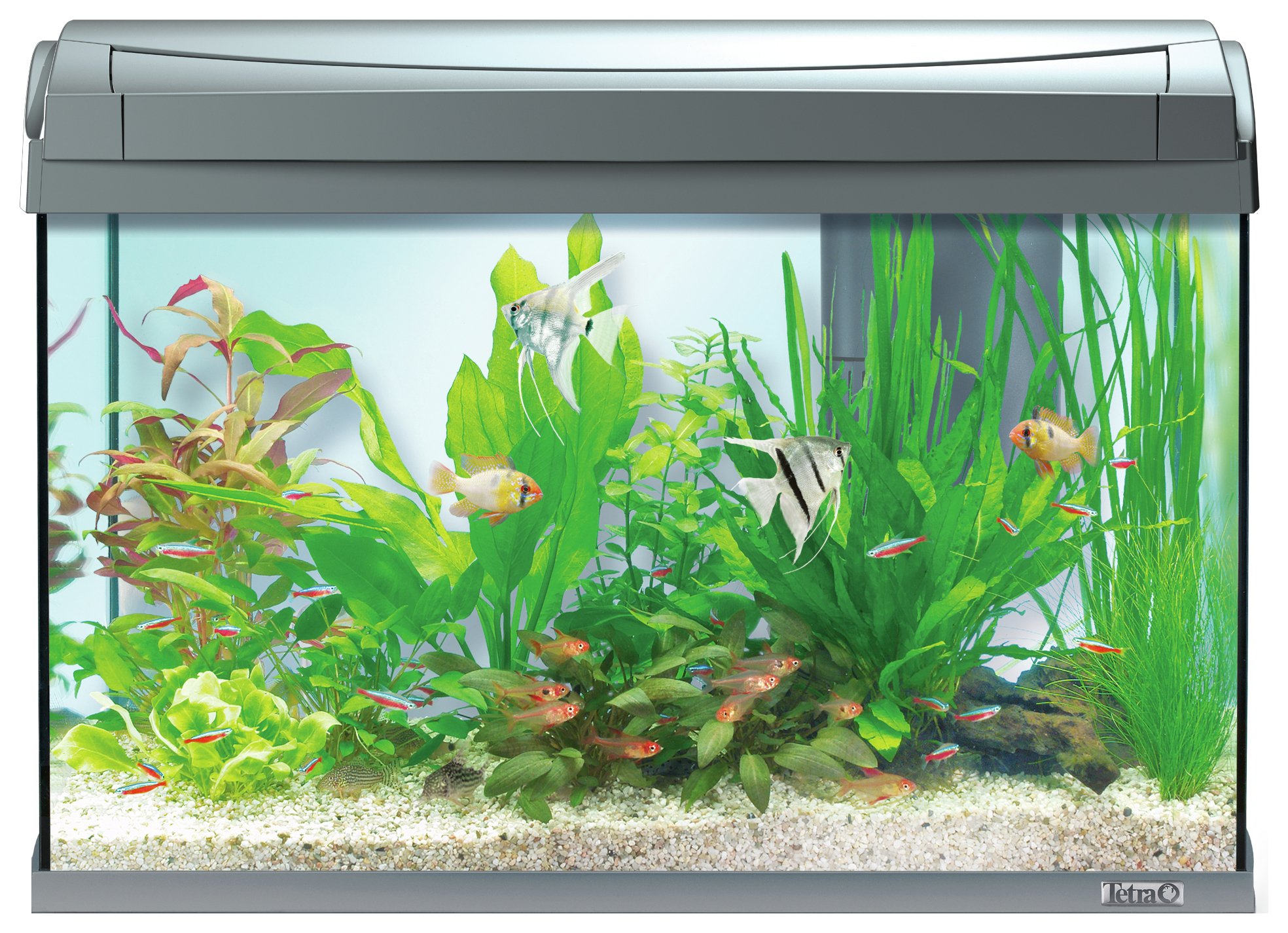 Tetra Fish Tank AquaArt II Graphite 60L Reviews