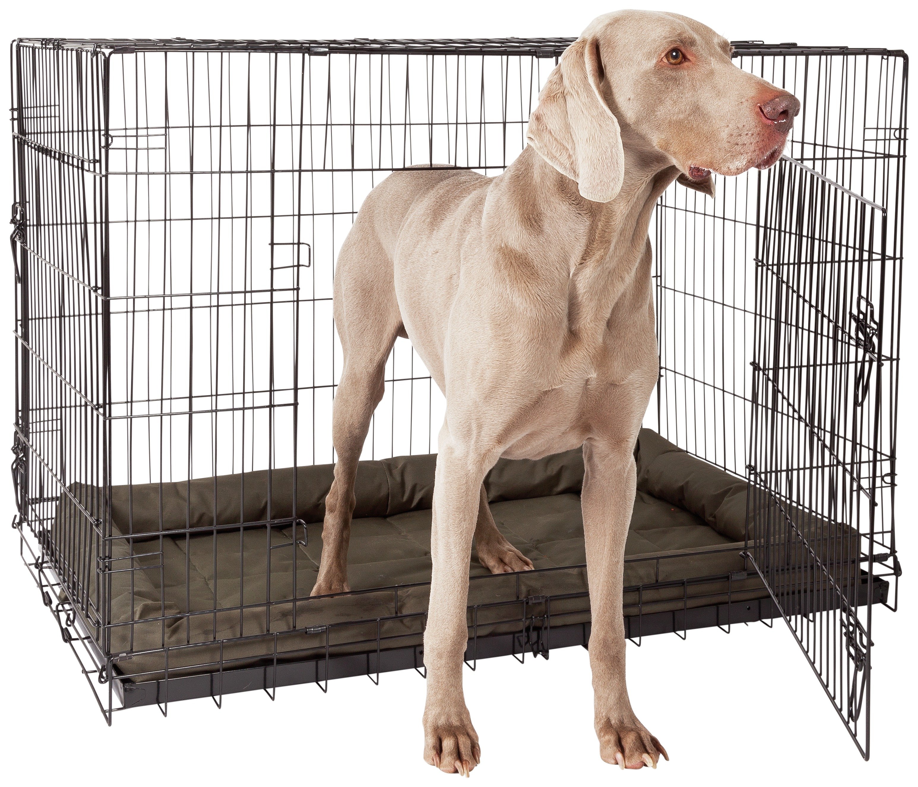 Argos Double Door XXL Pet Cage. Reviews
