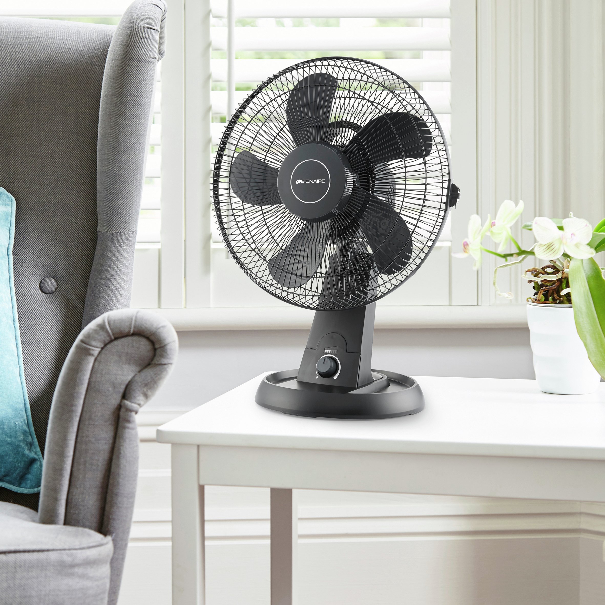 Bionaire ISF004 High Performance Desk Fan Reviews