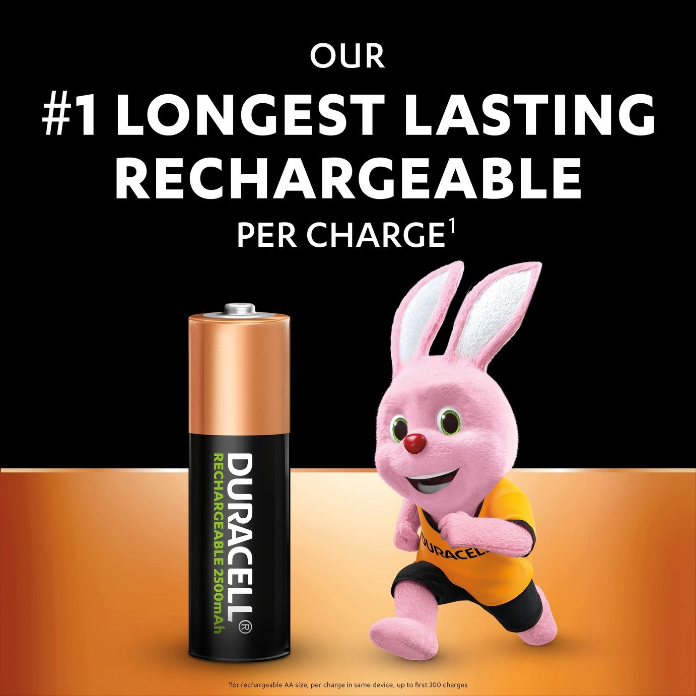 Duracell Rechargeable AA 2500mAh batteries Reviews Updated September 2024