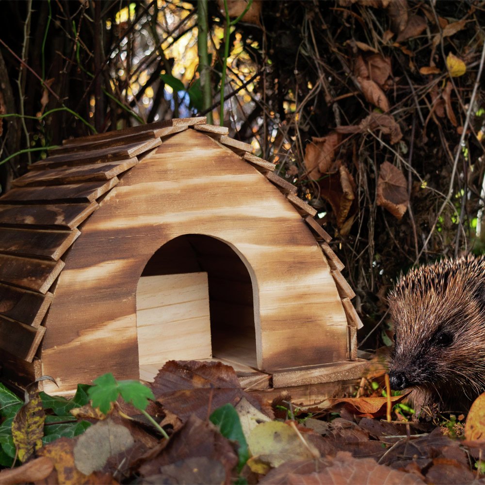 Mini Mates Hedgehog House Reviews Updated August 2024