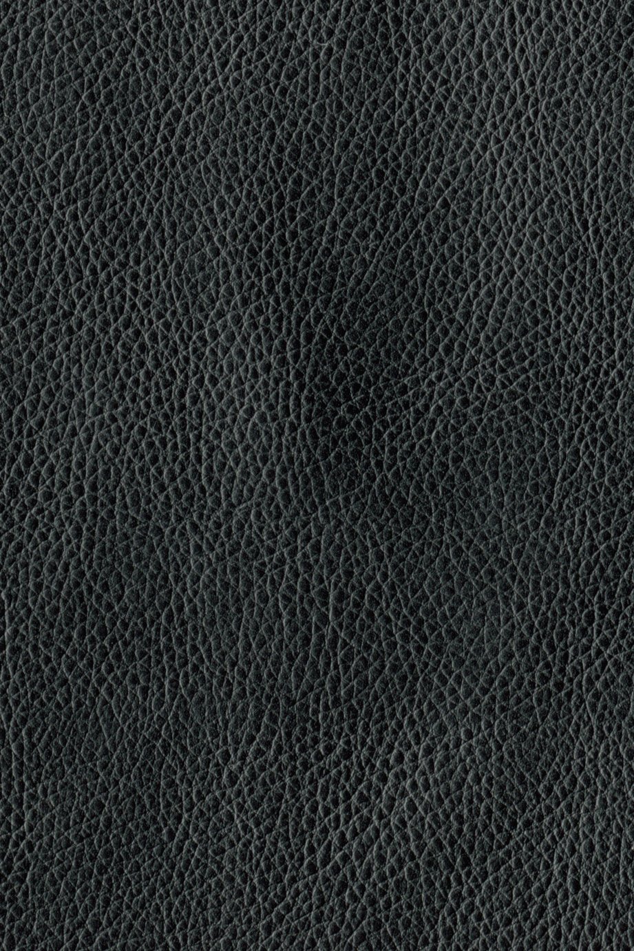 Argos Home Reagan Faux Leather Chairbed Reviews