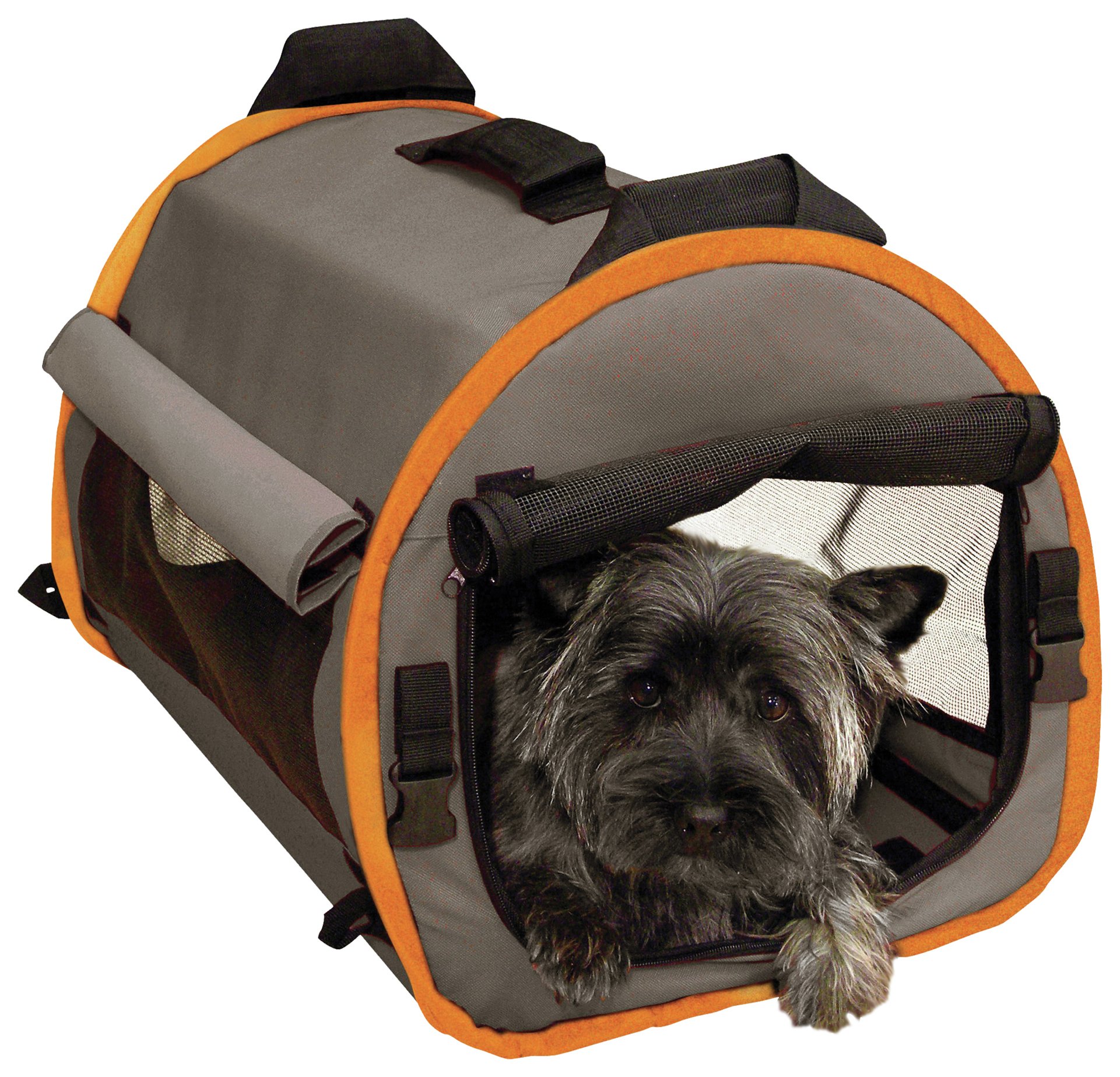 Dog travel and car products Page 1 Argos Price Tracker