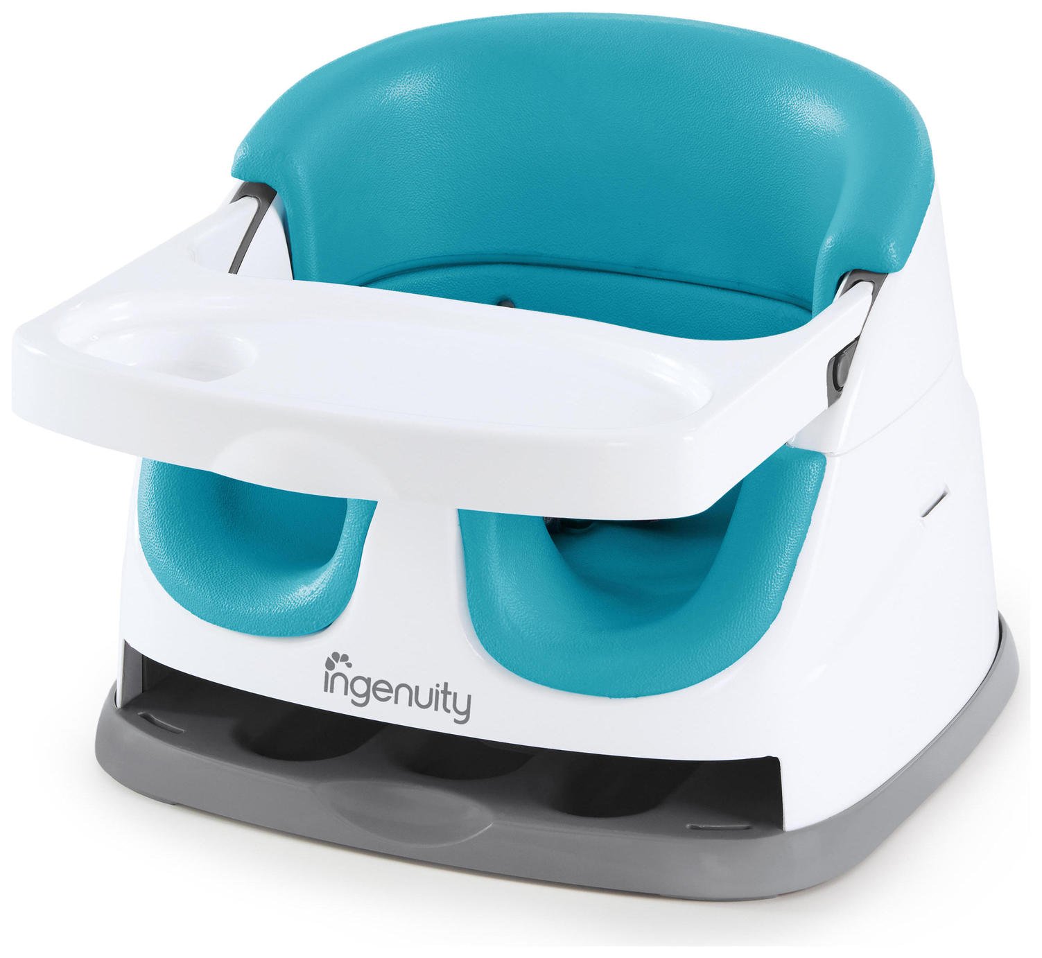 Ingenuity Booster Seat Reviews