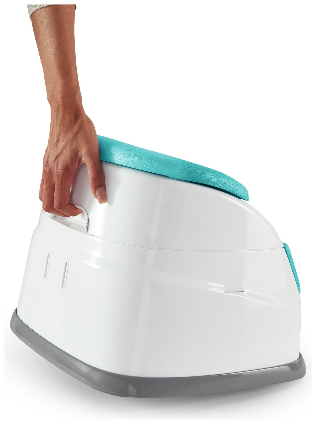 Ingenuity Booster Seat Reviews