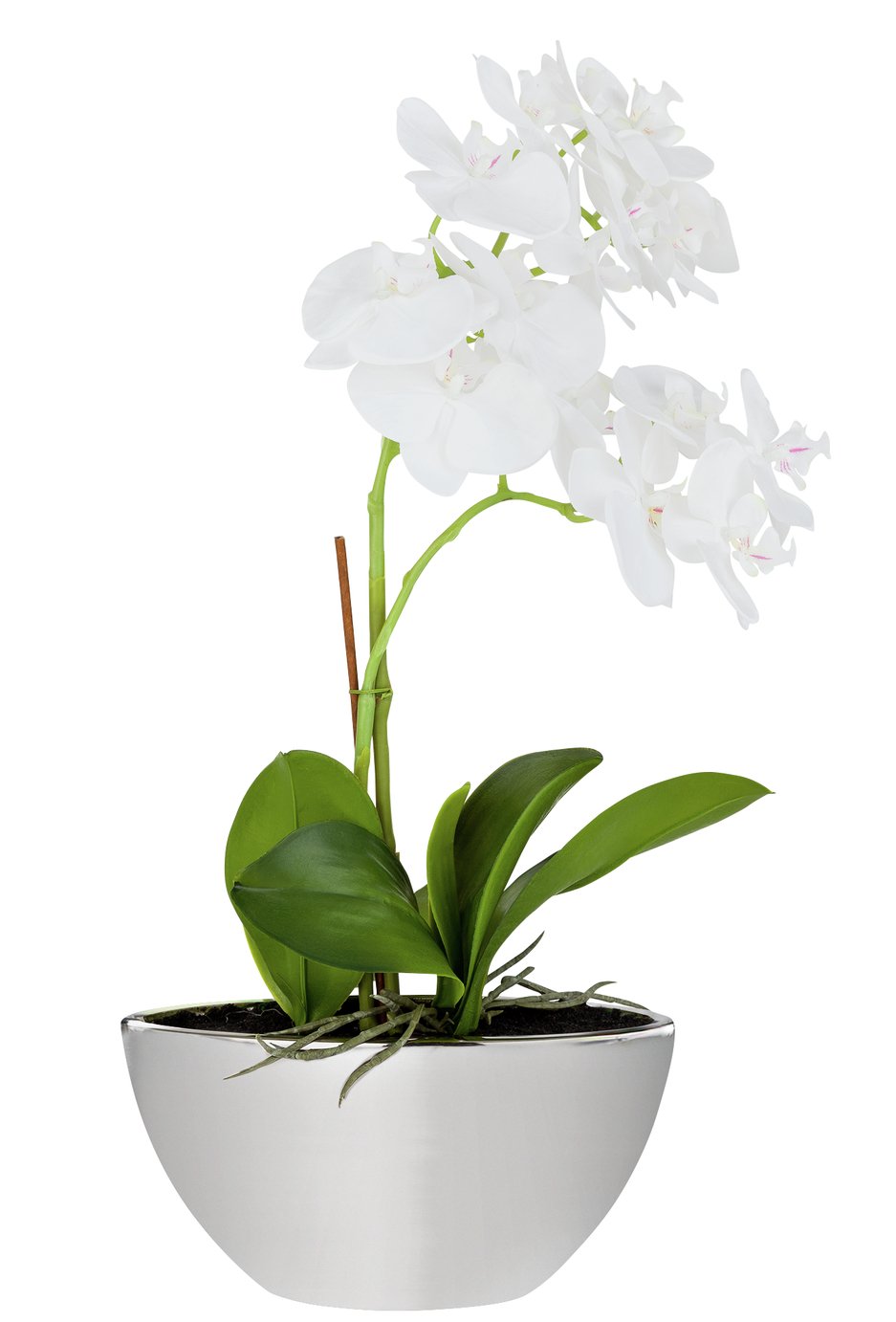 Review of Large Orchid Artificial Arrangement in Mirrored Pot