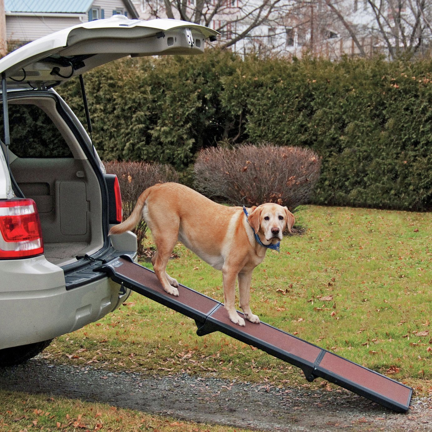 Pet Gear Trifold Travel Dog Ramp. Reviews