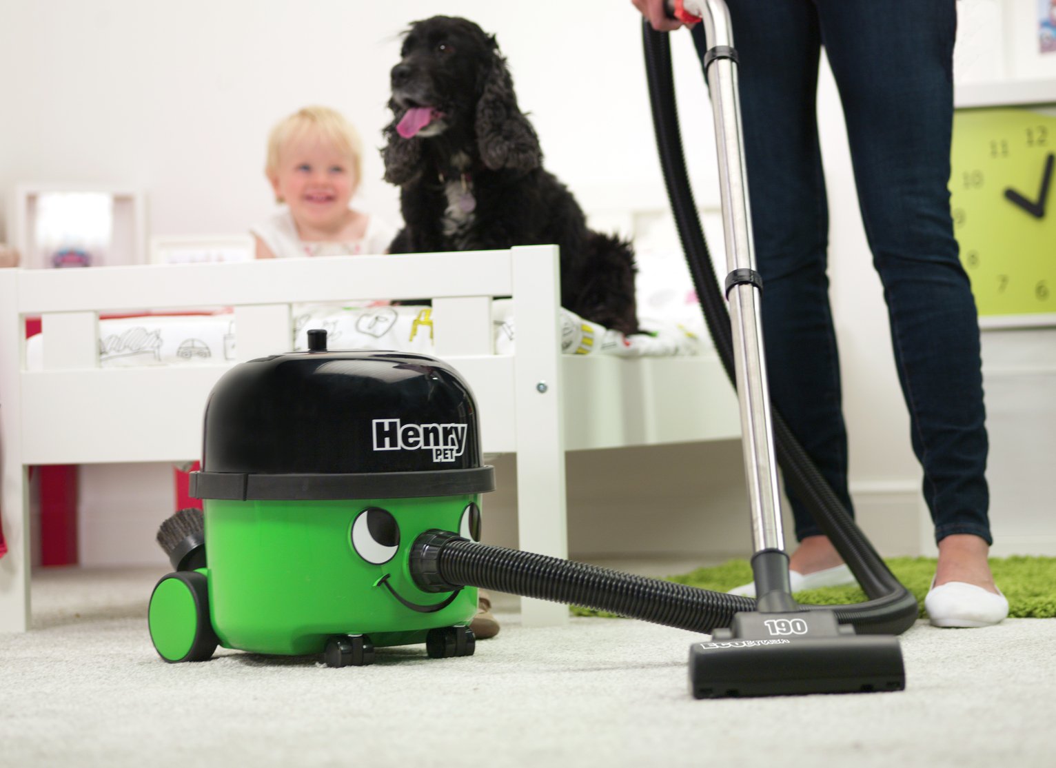 Henry Pet PET20011 Bagged Cylinder Vacuum Cleaner Reviews