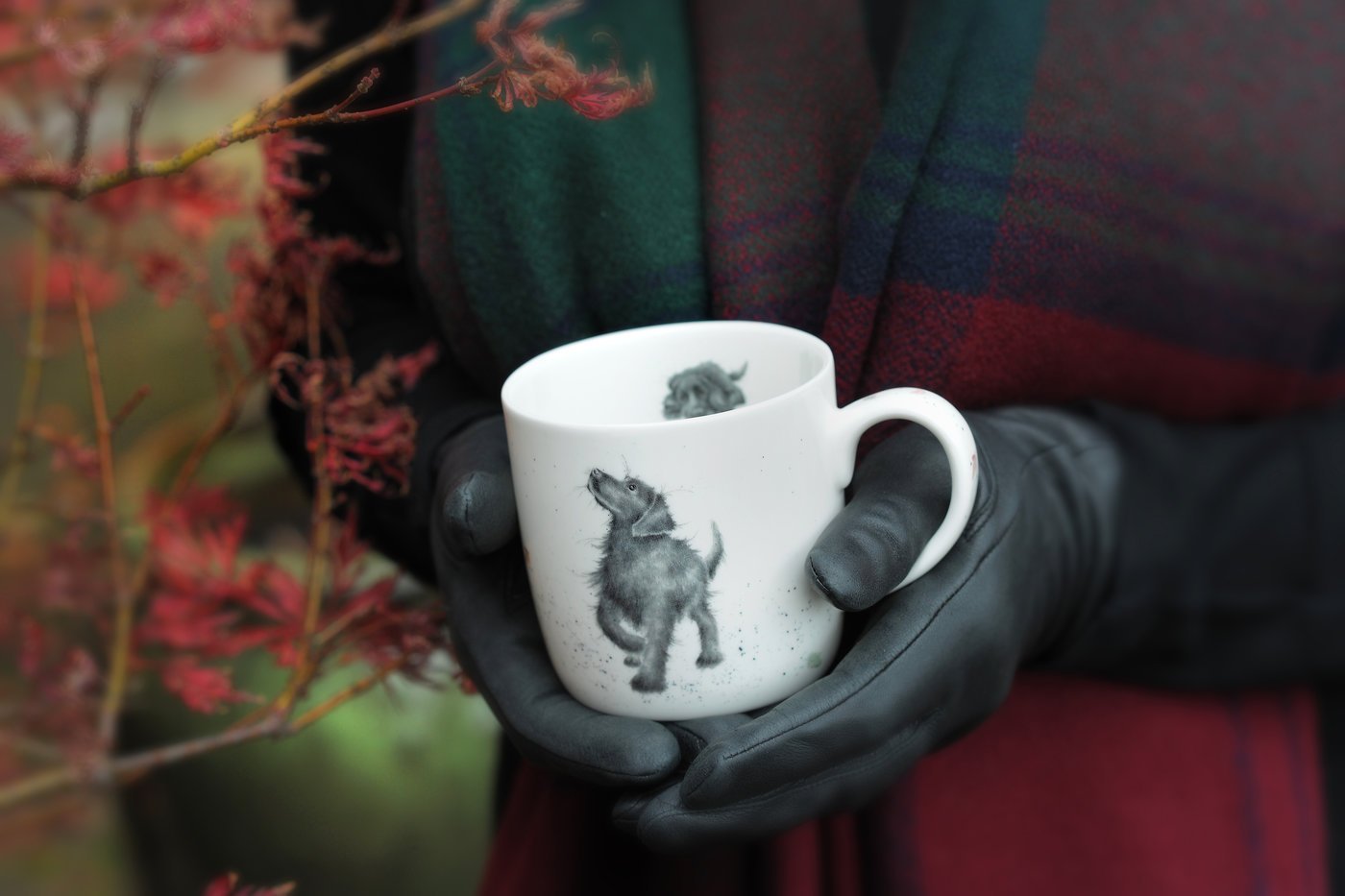 Royal Worcester Set of 4 Wrendale Mugs and Towel Set Reviews Updated