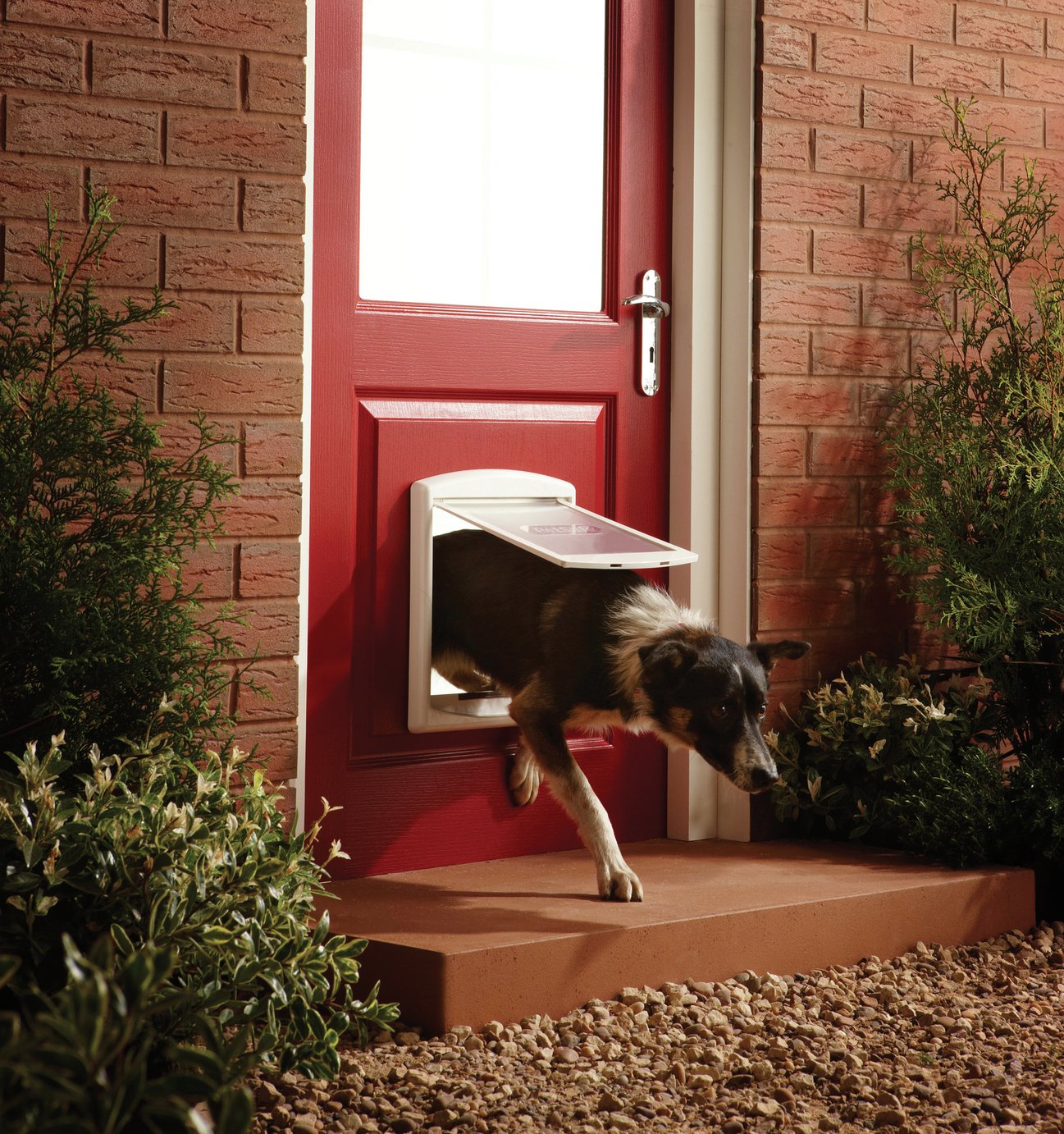 PetSafe Staywell Original 2Way Pet Door Reviews Updated February 2024
