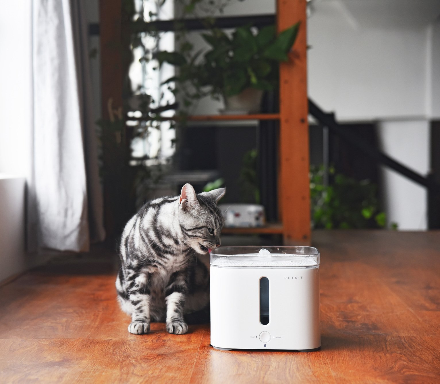 Petkit Smart Drinking Fountain Reviews