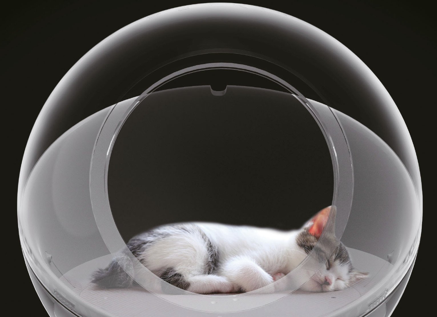 Petkit Smart Cozy Pet House Reviews