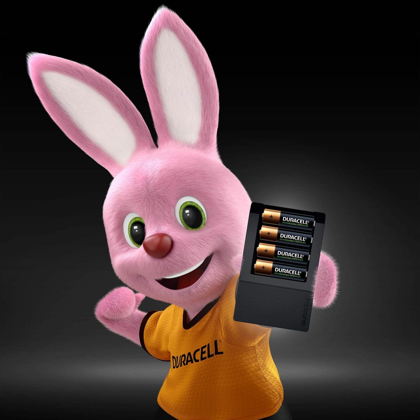 Duracell 15 minutes Battery Charger with 4 AA batteries Reviews