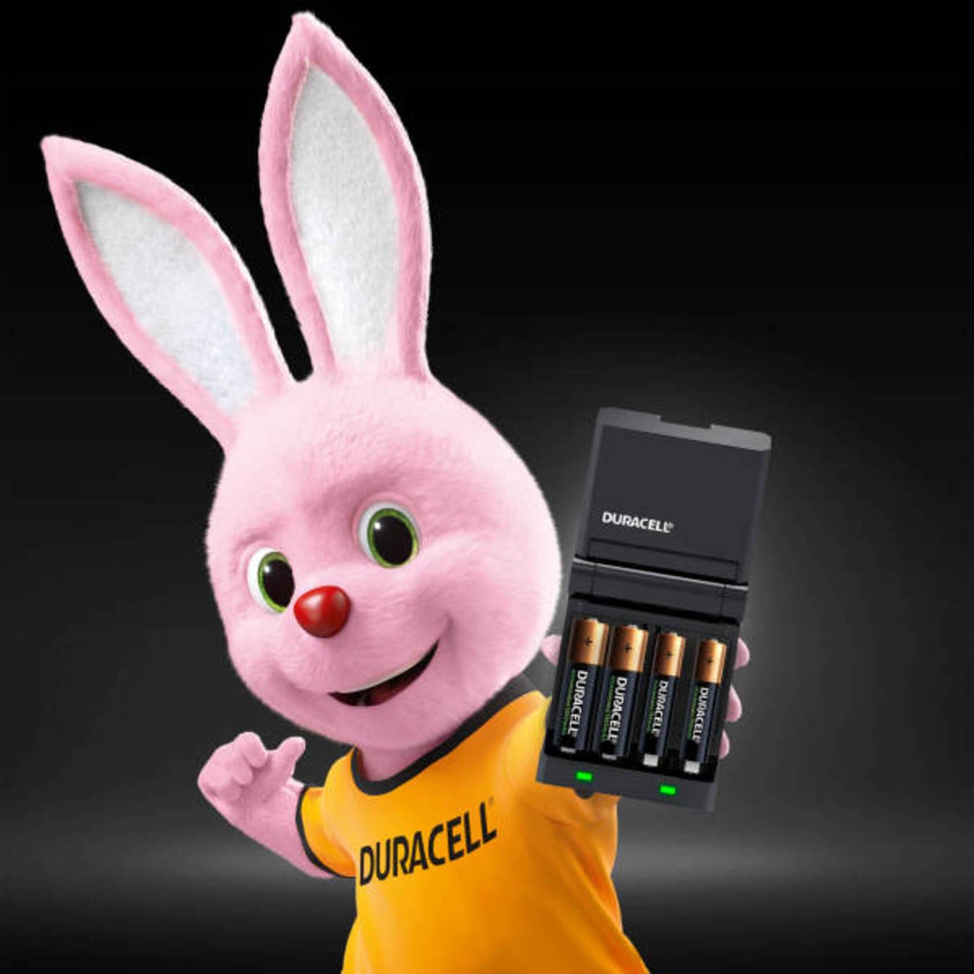 Duracell 15 min AA/AAA Battery Charger 2xAA 2x AAA Batteries Reviews
