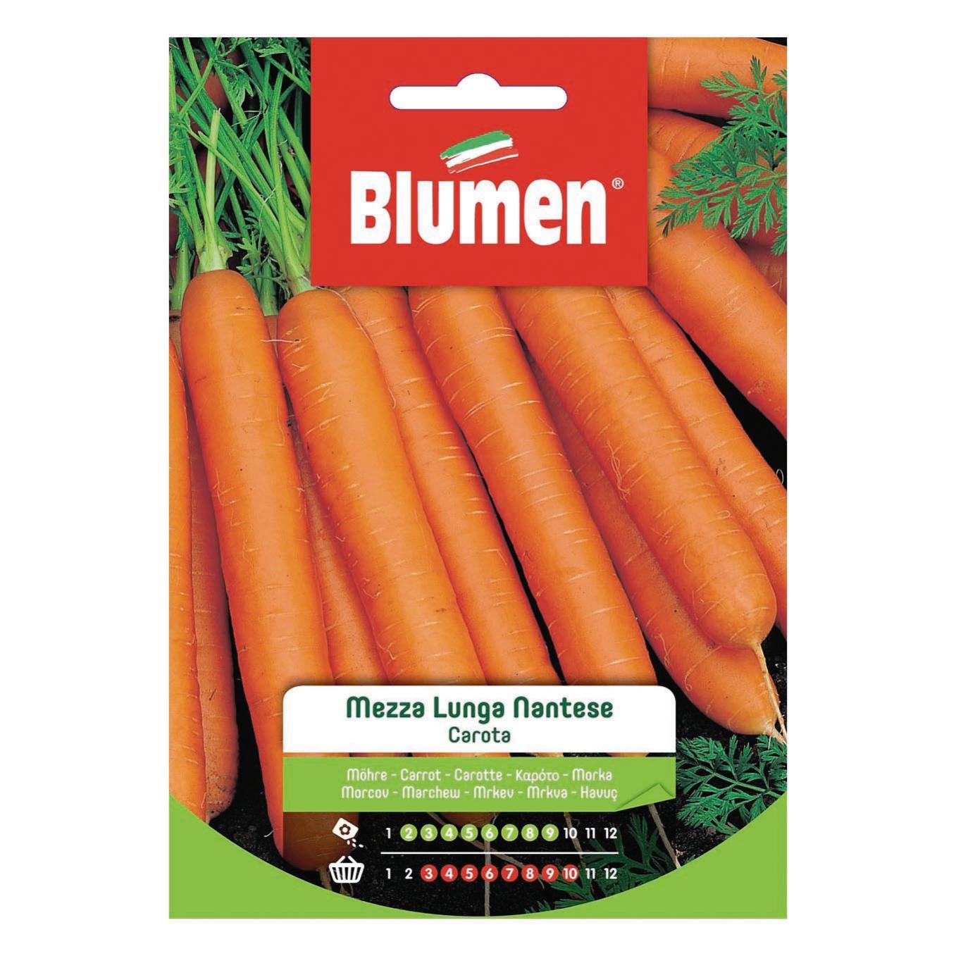 Seme per orto Carota Leroy Merlin