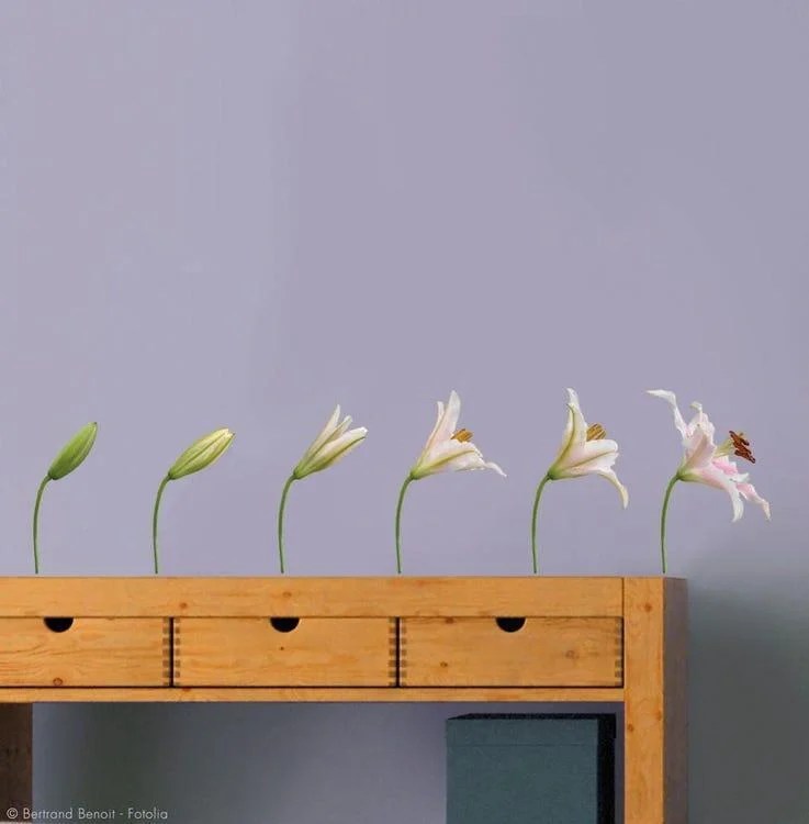 Stickers muraux Leroy Merlin