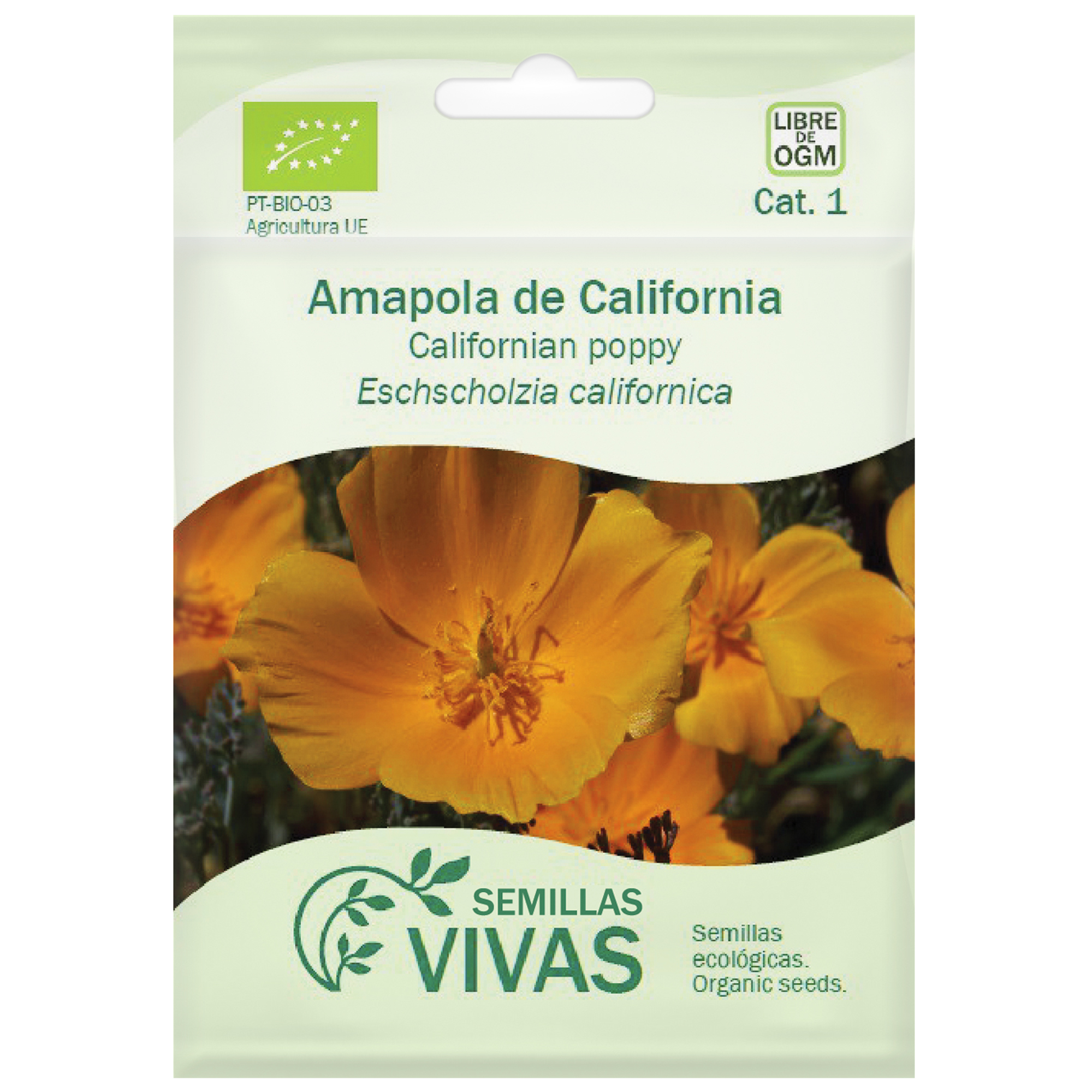 ¿Qué tipos de amapolas hay? Leroy Merlin